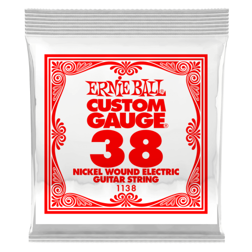 ERNIE BALL P01138