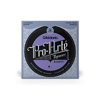 D`ADDARIO EJ44TT