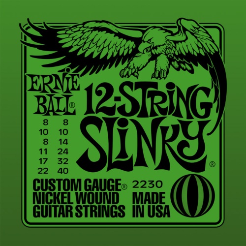 Ernie Ball 2230